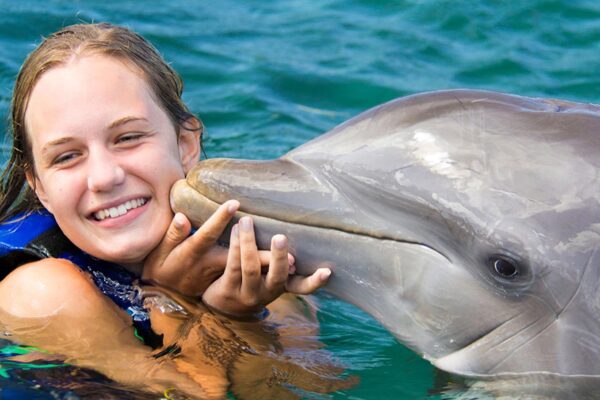 Dolphin Básico - PUNTA CANA - Tour / Excursiones - Stay Happy RD -- 2