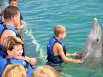 Dolphin Intermedio - PUNTA CANA - Tour / Excursiones - Stay Happy RD -- 1