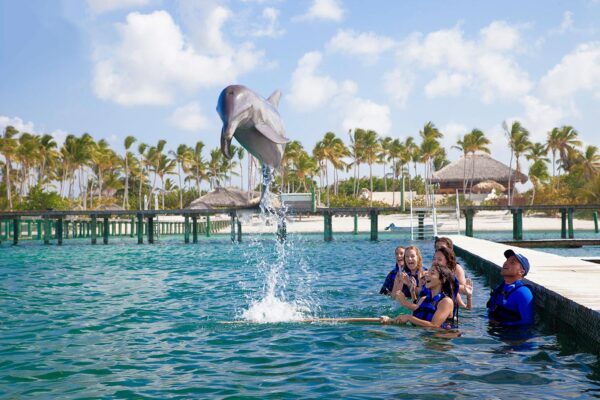 Dolphin Intermedio - PUNTA CANA - Tour / Excursiones - Stay Happy RD -- 2