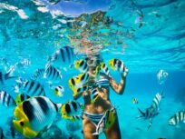 Snorkel Isla Catalina - Tours / Excursiones - Stay Happy RD