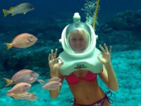 Seaquarium - PUNTA CANA - Tour / Excursiones - Stay Happy RD -- 1